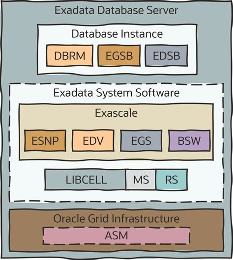 Database Software