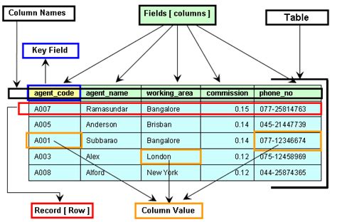 Database Table Rows And Columns
