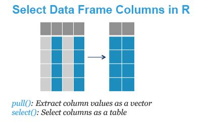 dataframe select column names
