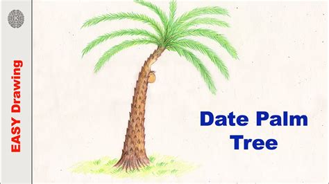 Date Tree Drawing Easy