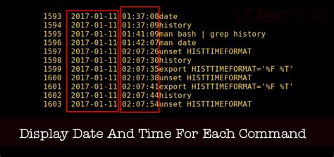 date with timezone bash