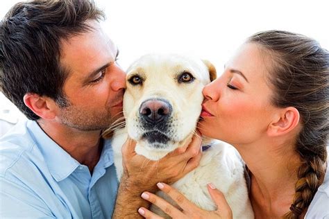 dating for dog lovers