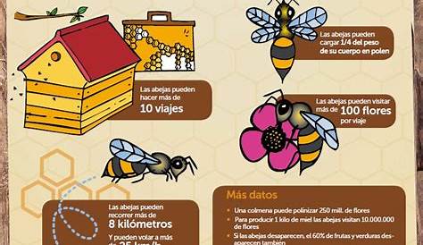 20 datos curiosos sobre las abejas