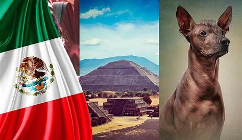 10 datos curiosos de México que probablemente no sabías