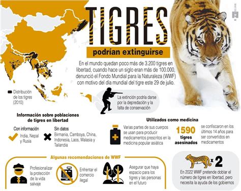 datos de los tigres