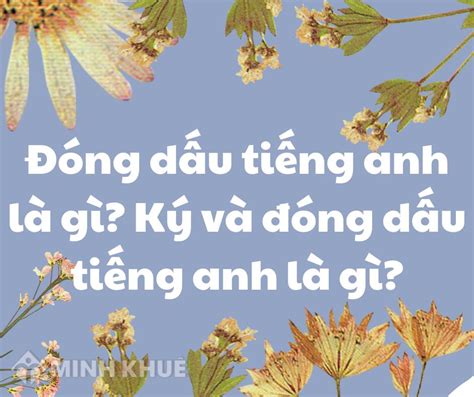 dau dau tieng anh la gi