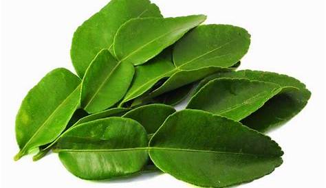 Daun Limau Purut/Kaffir Lime Leaves 30 grams