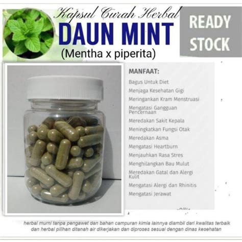 daun mint obat jerawat