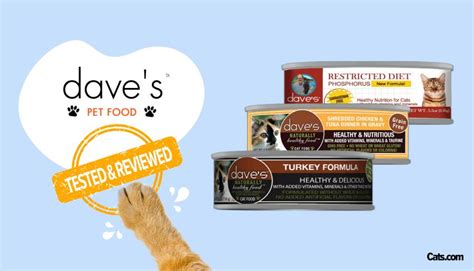 dave's cat food reviews