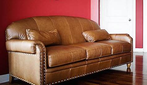 Davenport Reclining Sofa by Furniture of America