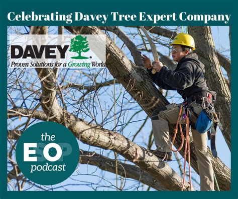 davey tree service washington dc