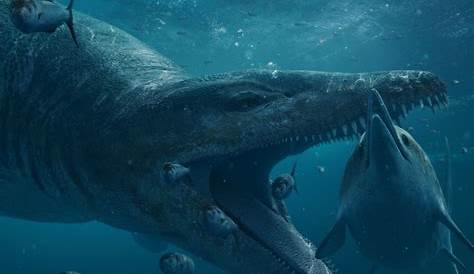 David Attenborough unearths giant sea monster