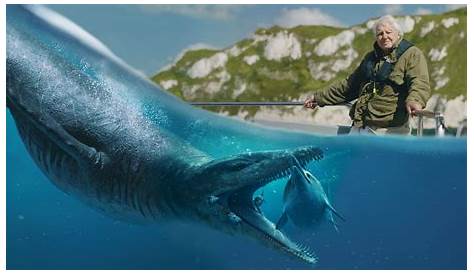 BBC One - Attenborough and the Sea Dragon