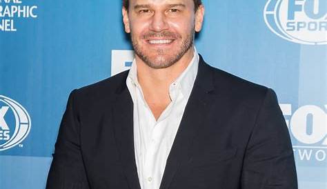 Unveiling David Boreanaz: A Journey Of Success And Impact