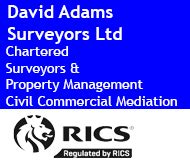 david adams surveyors ltd