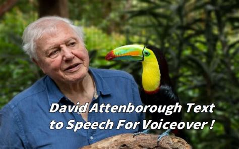 david attenborough ai voice generator