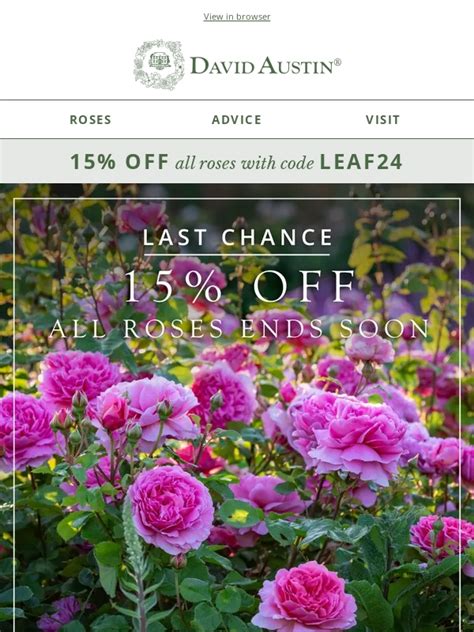 david austin discount code