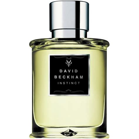 david beckham parfum dm