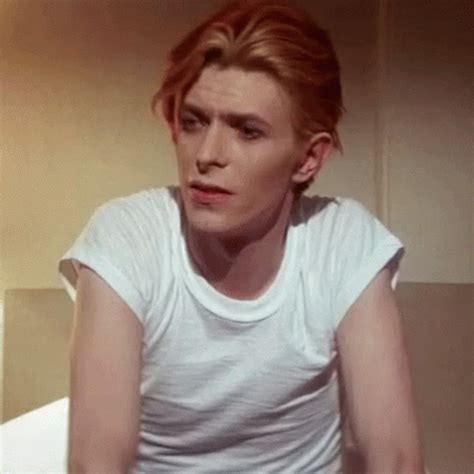 David Bowie GIF by hoppip Find & Share on GIPHY