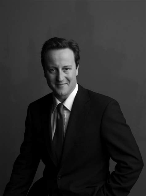 david cameron official portrait