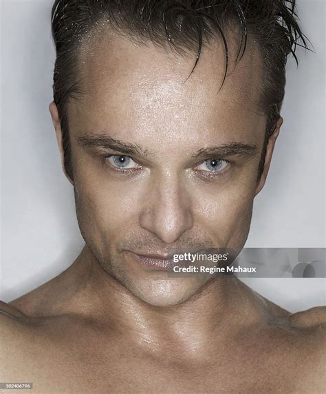 david hallyday morning light