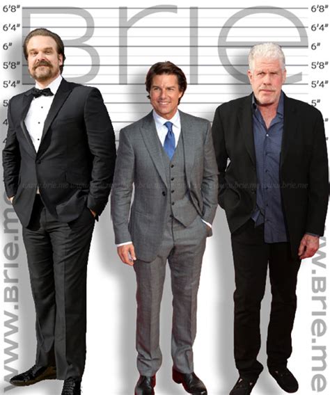 david harbour height