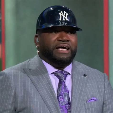 david ortiz yankees hat