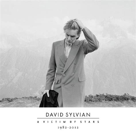david sylvian a victim of stars