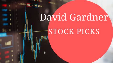 david tom gardner stocks