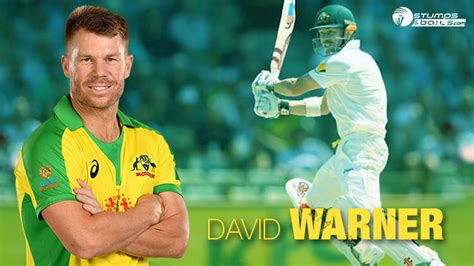 david warner age 2014