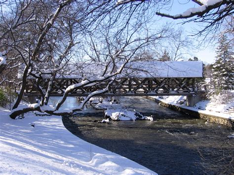 David Wheaton Realtor