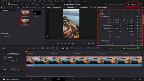 davinci resolve edit image size