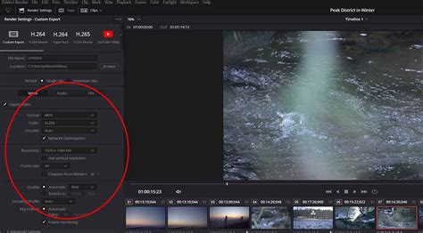 davinci resolve export settings