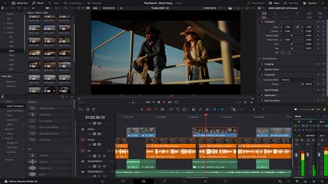 DaVinci Resolve