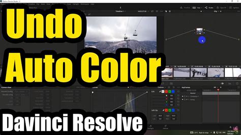 Davinci Resolve Undo Steps Color Page