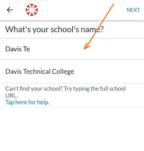 5 Davis Tech Canvas Tips