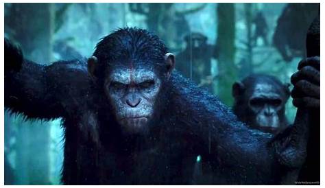 Dawn Of The Planet Of The Apes Gif New Trending On Giphy s
