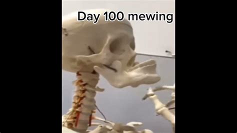 day 100 of mewing skeleton meme