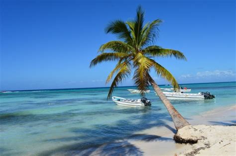 day tours from punta cana