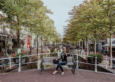 day trip from amsterdam to the hague