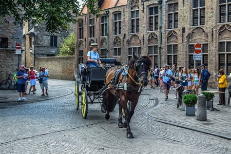 day trips to bruges by coach