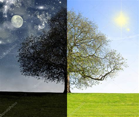day vs night