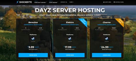 dayz host local server