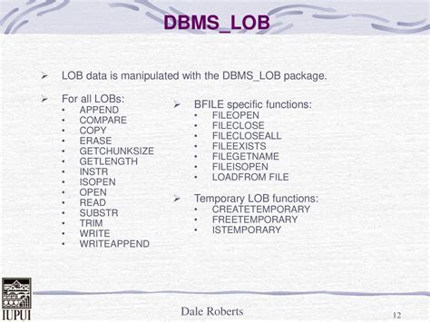 Dbms_Lob Examples