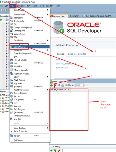 dbms_output put_line not printing in oracle sql developer