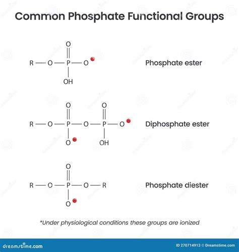 dbth phosphate