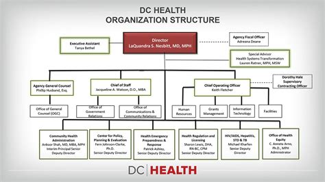dc health organizational chart