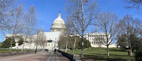 Discover the Epic DC Adventure You Can't Miss