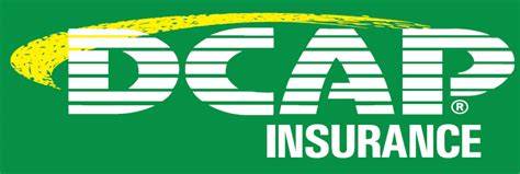 Protecting Your Assets: DCAP Insurance - A Comprehensive Guide for Businesses and Individuals