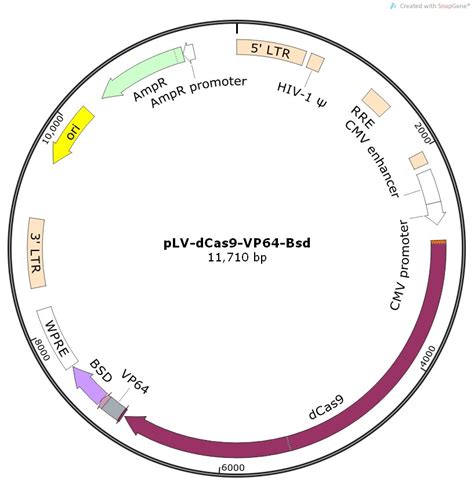 dcas9-vp64-blast